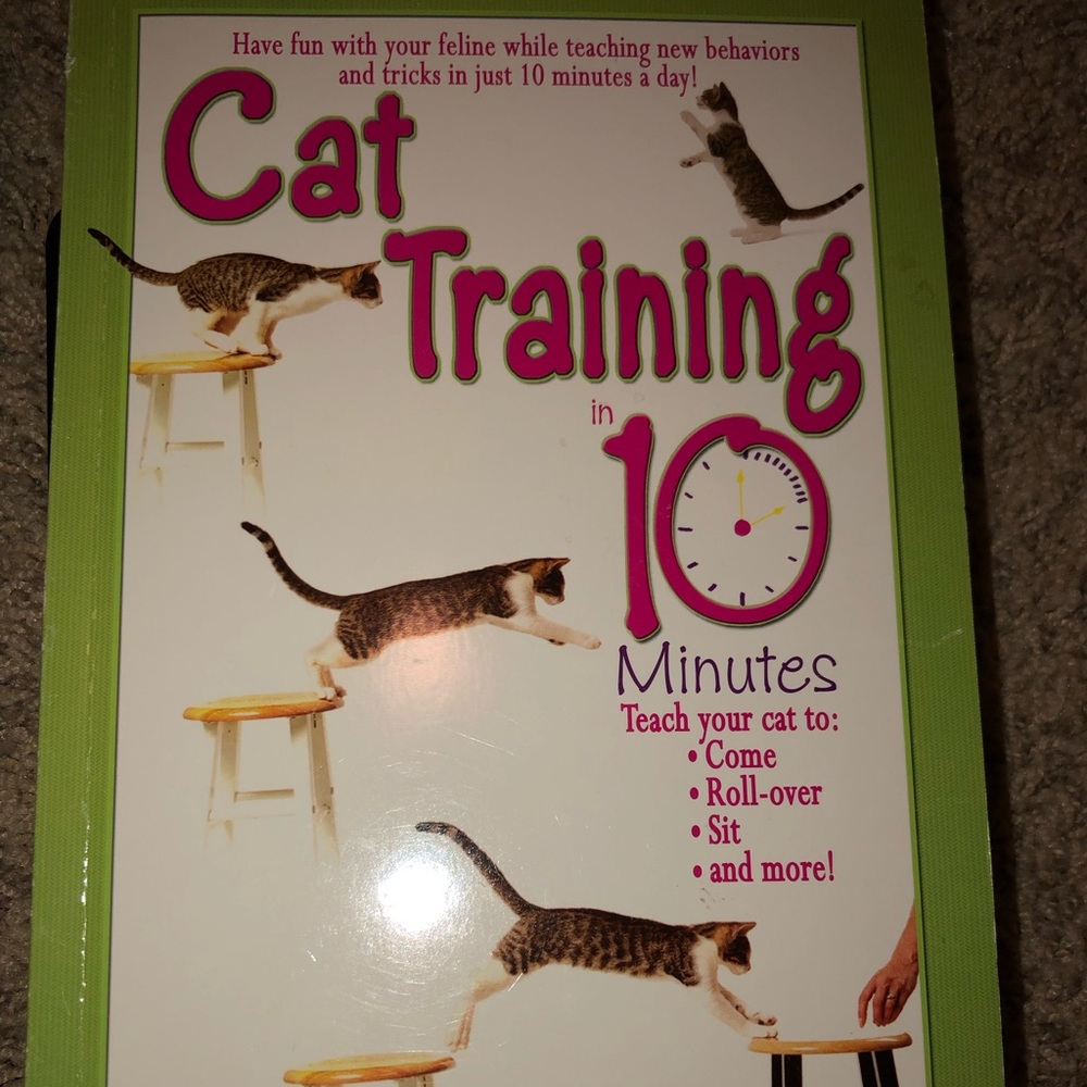 Cat Training in 10 Minutes A Day